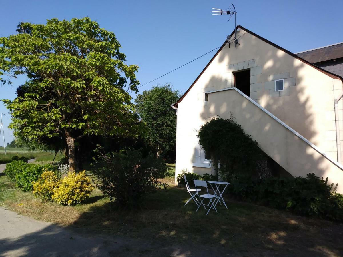 Les Hautes Mougonnieres Neuil エクステリア 写真